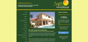 anguins-international